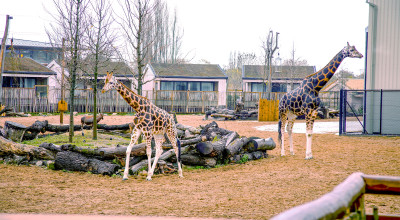 The view from your window