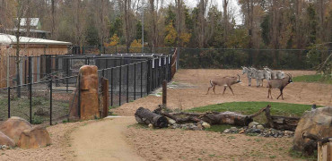 1497 Sustainable heating