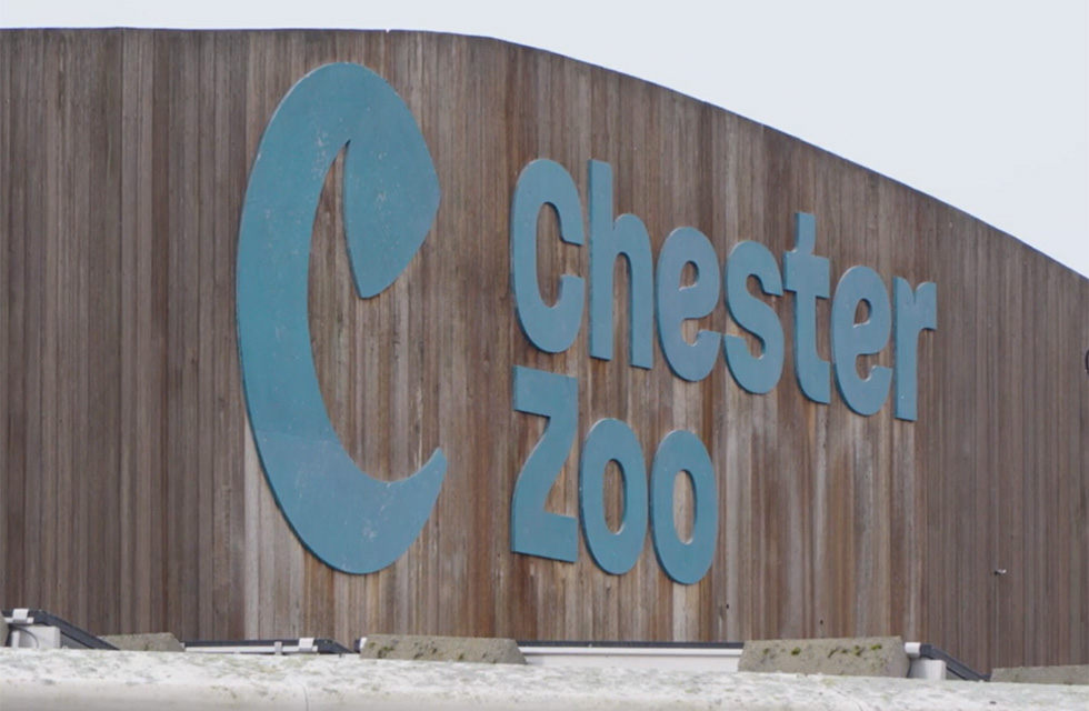 1499 Chester Zoo