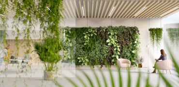 956 Kirsty Hammond Living walls GettyImages 1287068159