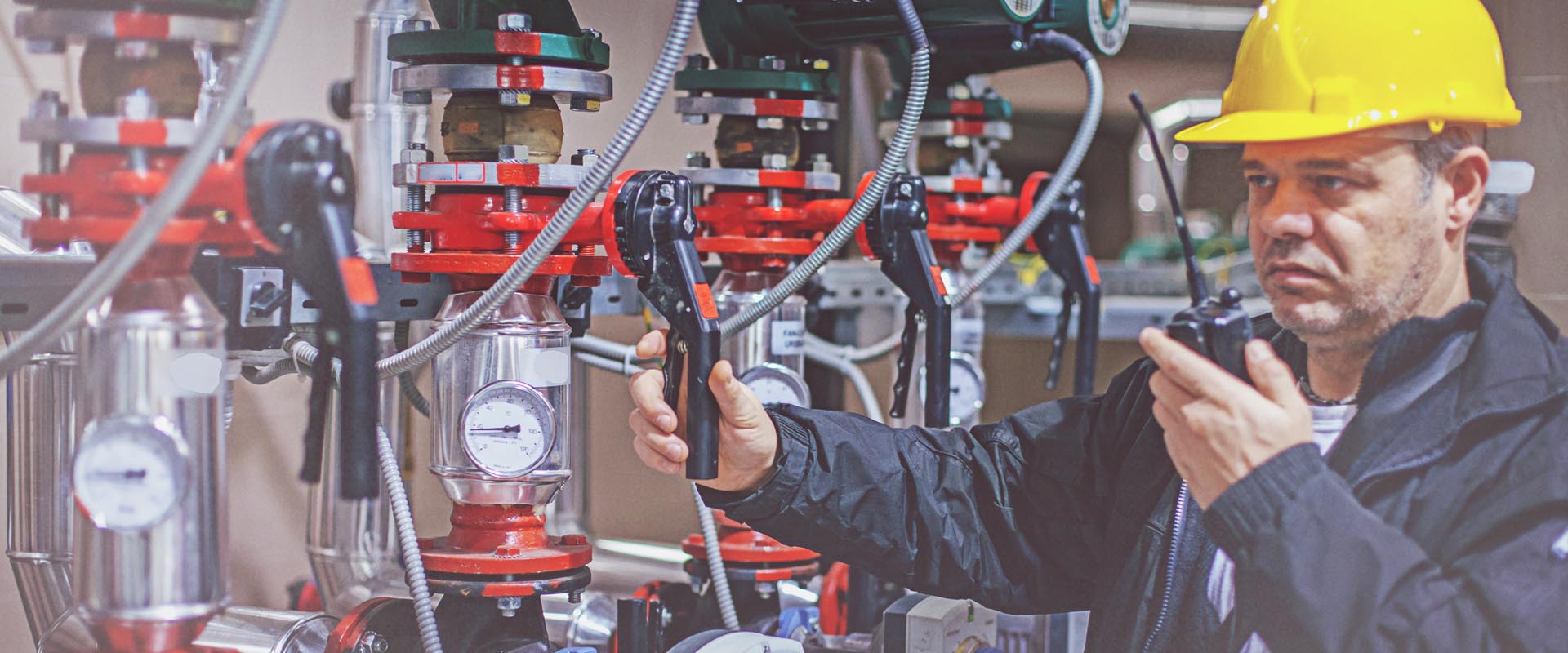 Salix funding needs extension