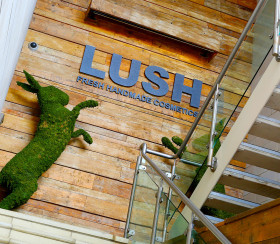 269 Lush Ltd