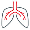 Icon of lungs