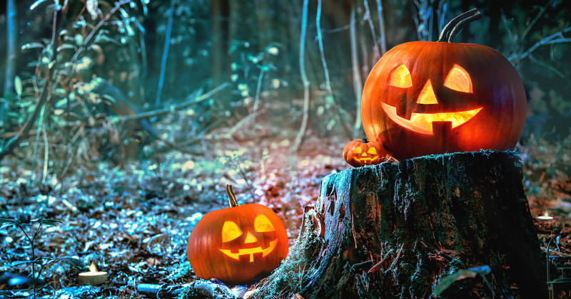 Halloween be afraid pumpkin