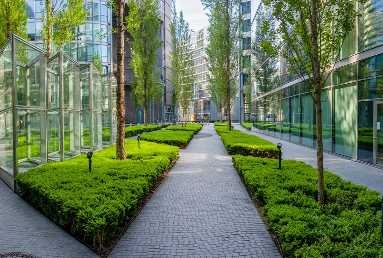 Tree Lined Pathway Between Modern Buildings