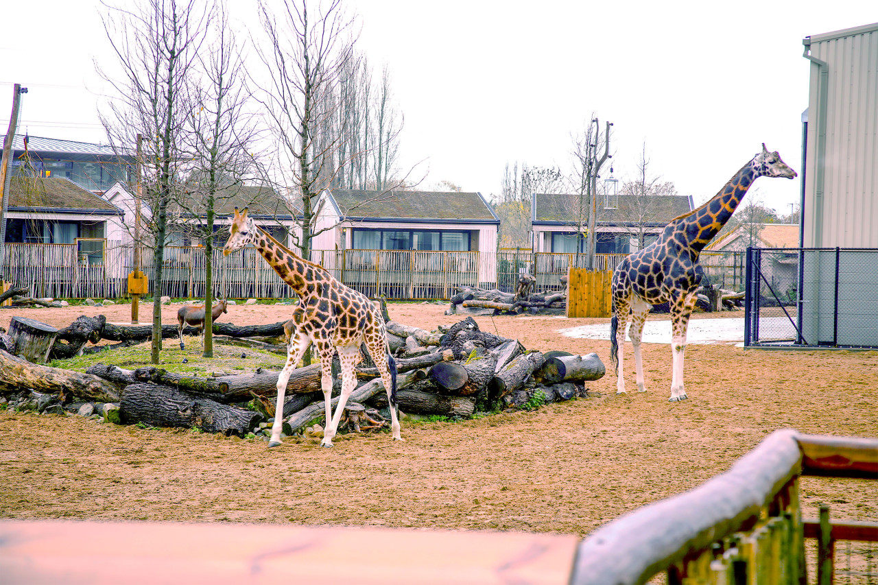 The view from your window